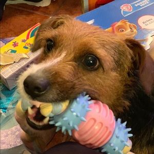 Meet your Posher, Marlene